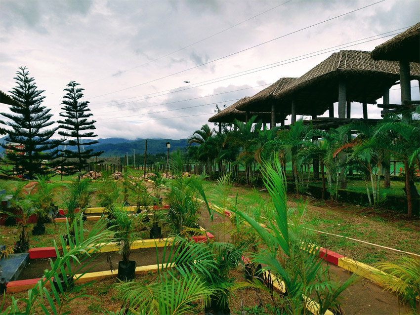 Apple Resorts Araku_image